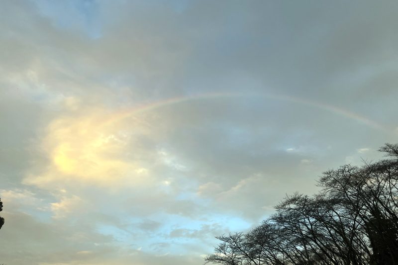 2日間とも雨が降るあいにくのお天気でしたが、フィナーレのタイミングで虹が！「みんなで架ける音楽の虹」がテーマでしたが、音楽のみならず本物の虹が藤枝音楽祭に架かる奇跡的な体験をしました